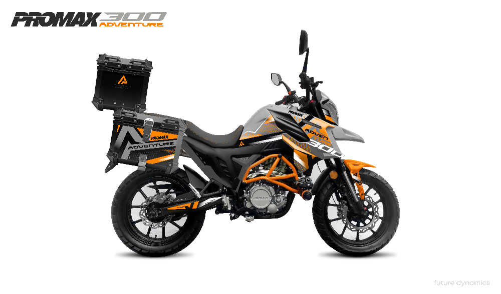 Мотоцикл PROMAX ADVENTURE 300 PRO EFI (NB300)